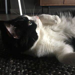 Meet your Posher, Kirsten